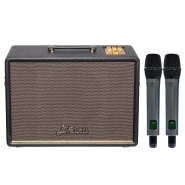 Loa Acnos D'Auris 300