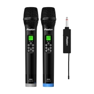 Mic karaoke PASION ECHO (2025)