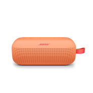 Bose Soundlink Flex II