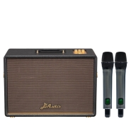 Loa karaoke Acnos D'Auris 500