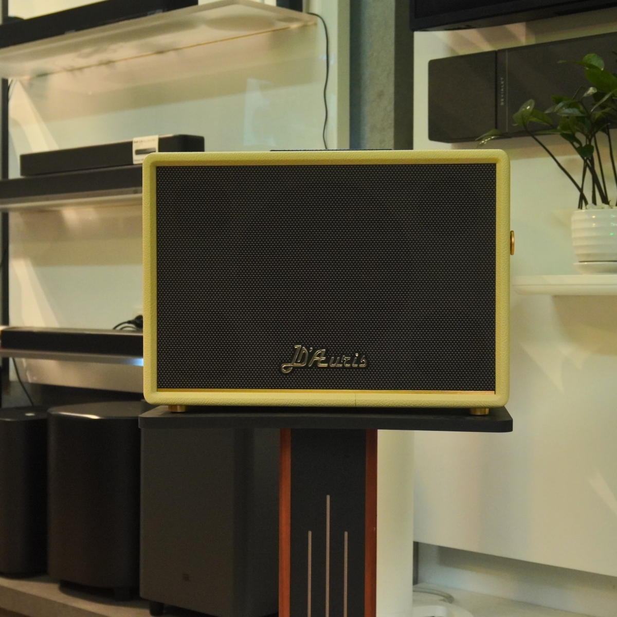 Loa Acnos D Auris 300