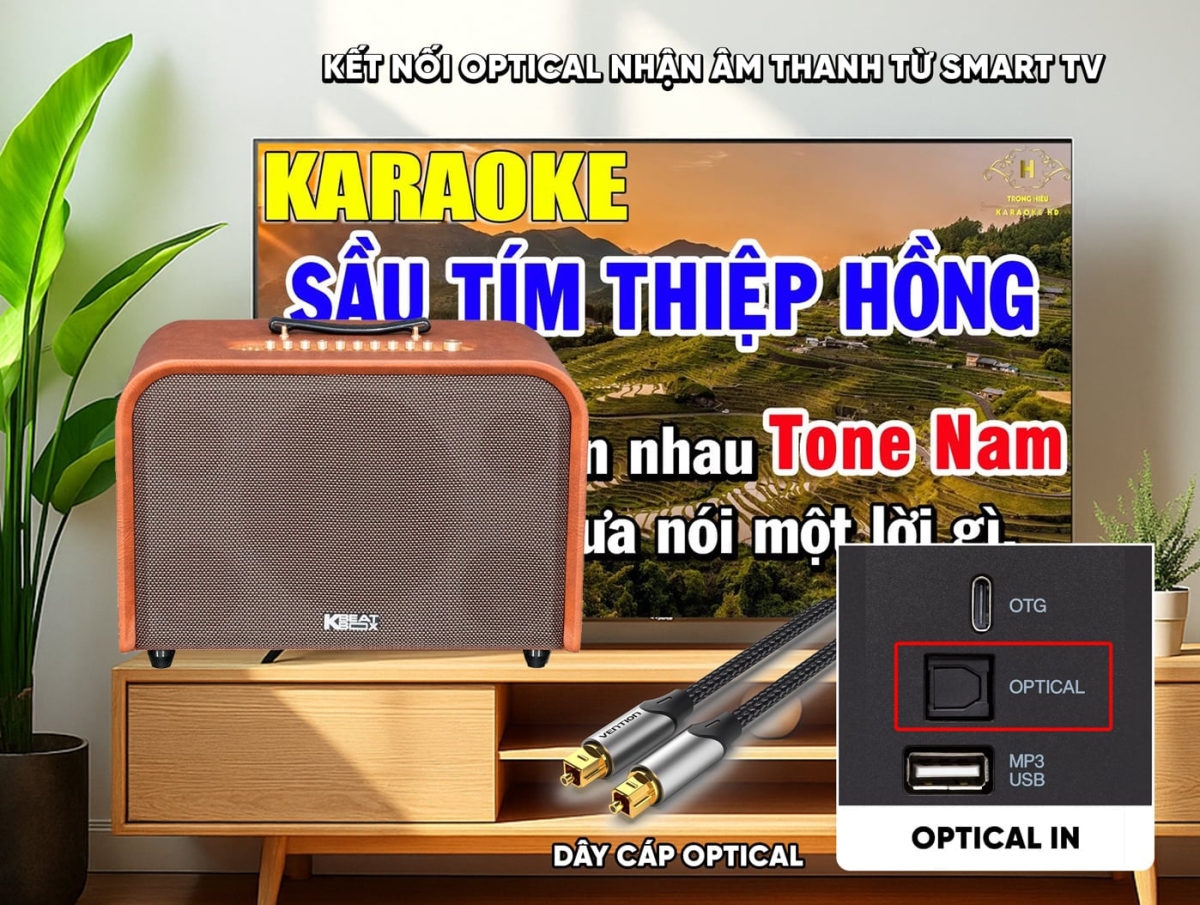 Kết nối Optical trên loa Acnos Harmony (Phiên bản 2026) giúp hát karaoke trực tiếp từ Smart TV