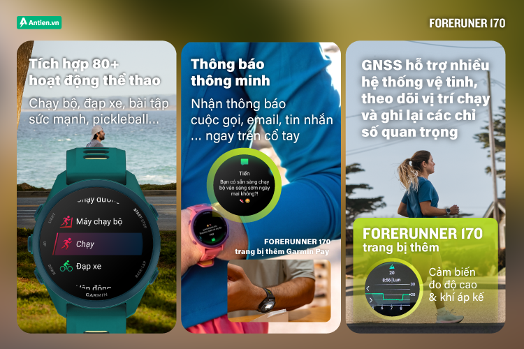Hoạt động thể thao đa dạng