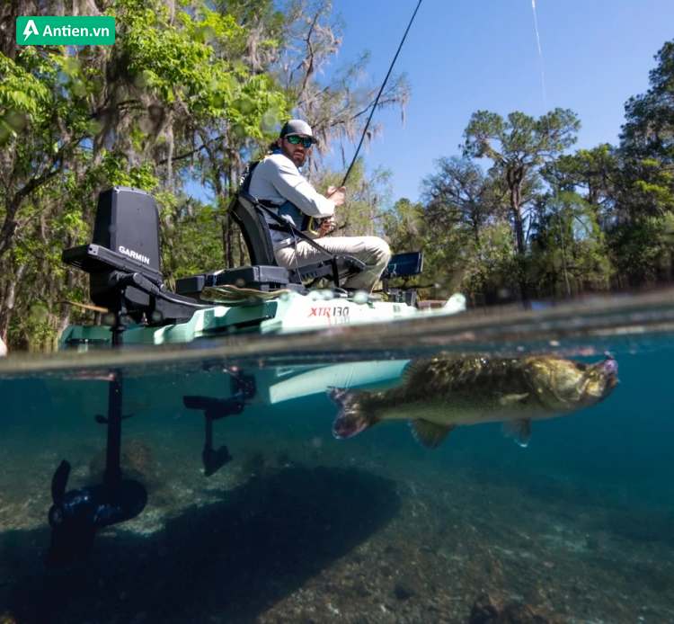 Tìm kiếm động cơ đẩy Force Current có bàn đạp chính hãng, giá tốt tại Antien.vn