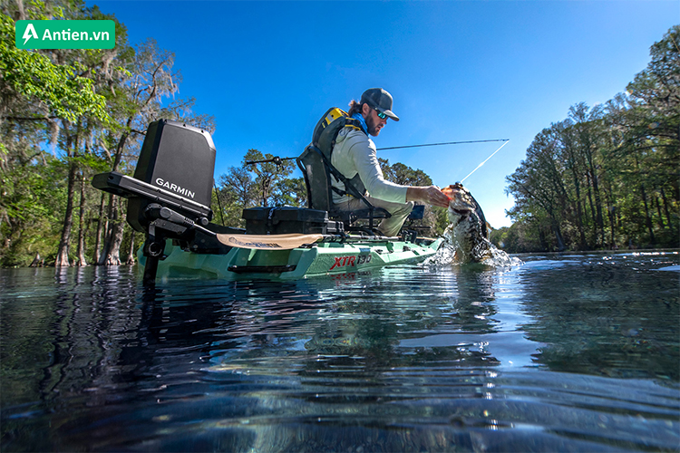 Tìm kiếm động cơ đẩy Force Current chính hãng, giá tốt tại Antien.vn