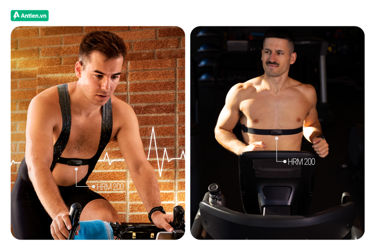 Tìm kiếm dây đeo đo nhịp tim HRM 200 chính hãng tại Antien.vn