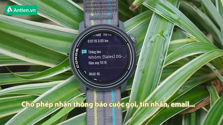 Pace 3 không hỗ trợ đồng bộ nhạc trực tiếp nhưng cho phép nhận thông báo thông minh