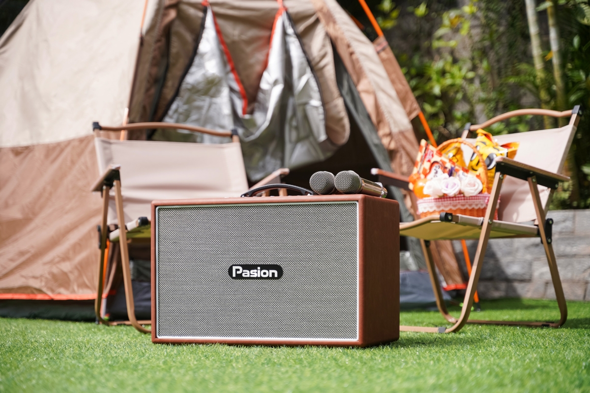 loa PASION Outro âm thanh chi tiết 3 đường tiếng