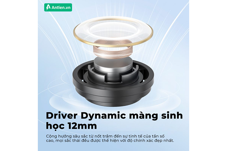 Trang bị driver dynamic 12mm cho trải nghiệm âm thanh sống động