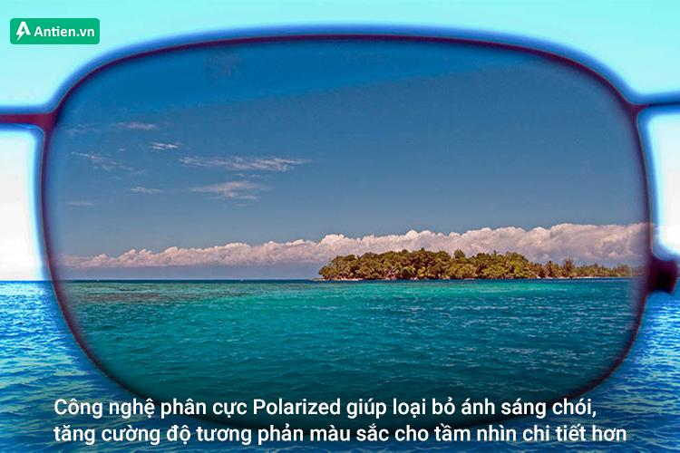 Công nghệ phân cực Polarized