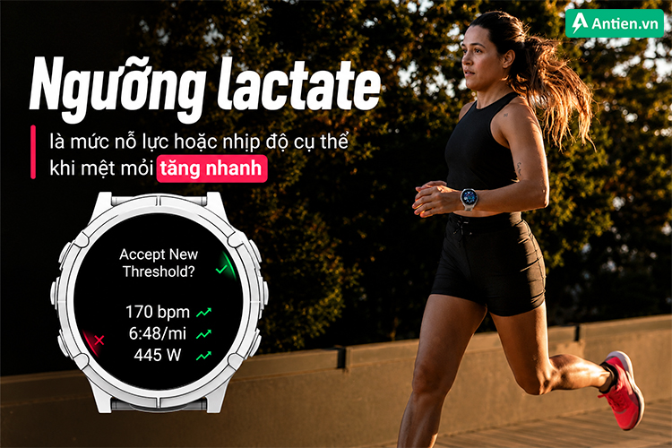 Ngưỡng Lactate chính là “ranh giới hiệu suất” của bạn