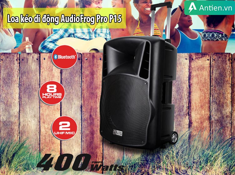 Audiofrog Pro-P15 cho công suất lên tới 400W