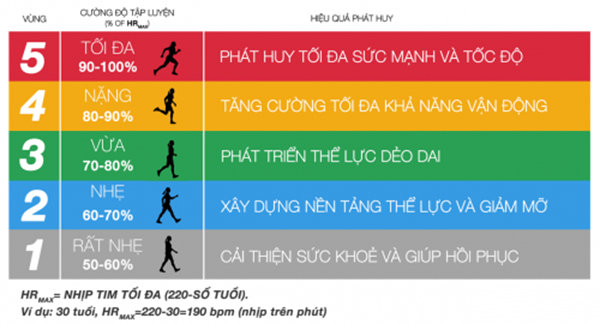 Vùng Nhịp Tim Đốt Mỡ: Hướng Dẫn Chi Tiết Để Tối Ơi Hiệu Quả Giảm Cân