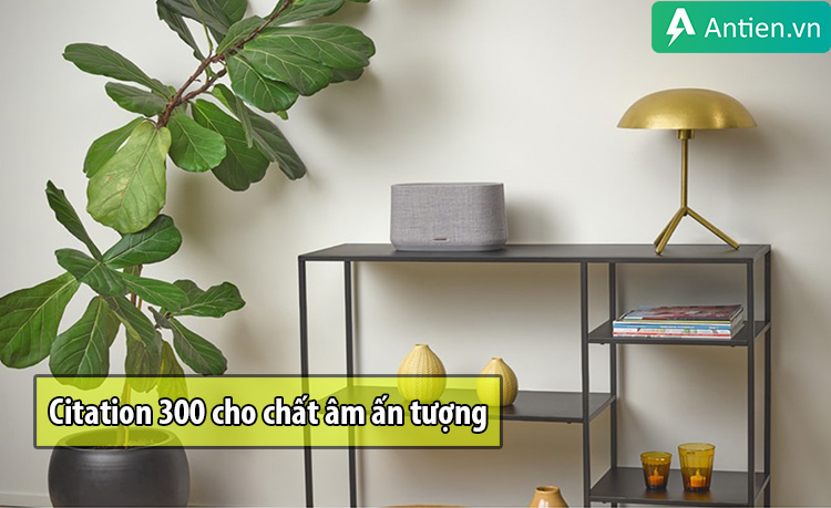 Loa Harman/Kardon CITATION 300 cho chất âm chi tiết, ấn tượng