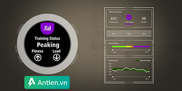 Tìm hiểu về chỉ số Training Status trên đồng hồ Garmin